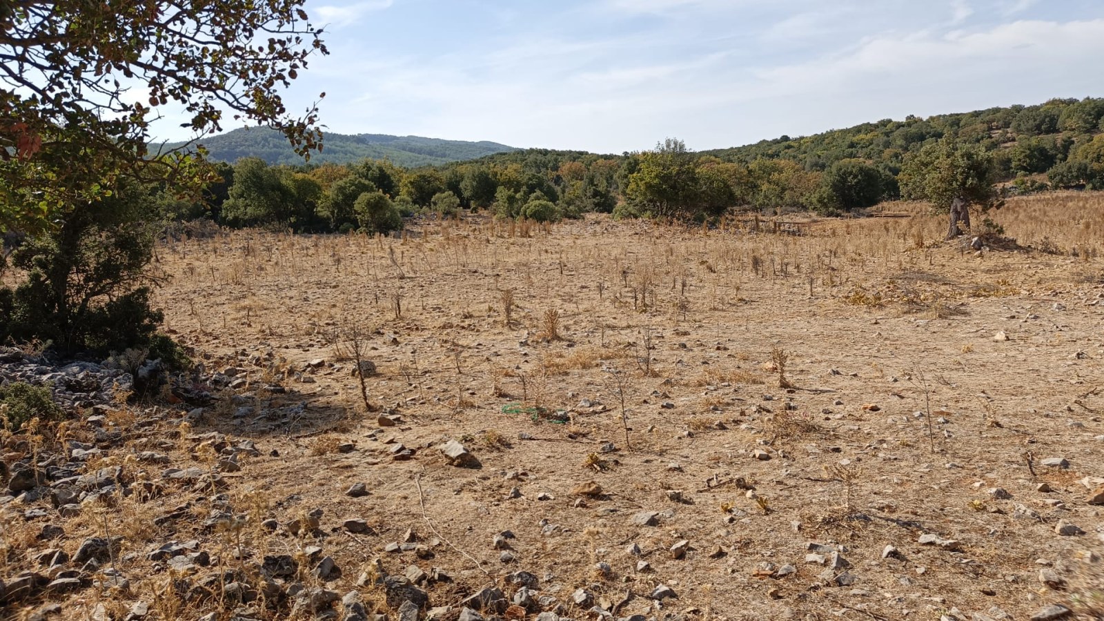 Arsa ve Parsel Ula Armutcuk Satılık Arazi