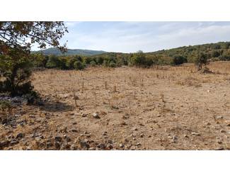 Ula Armutcuk Satılık Arazi