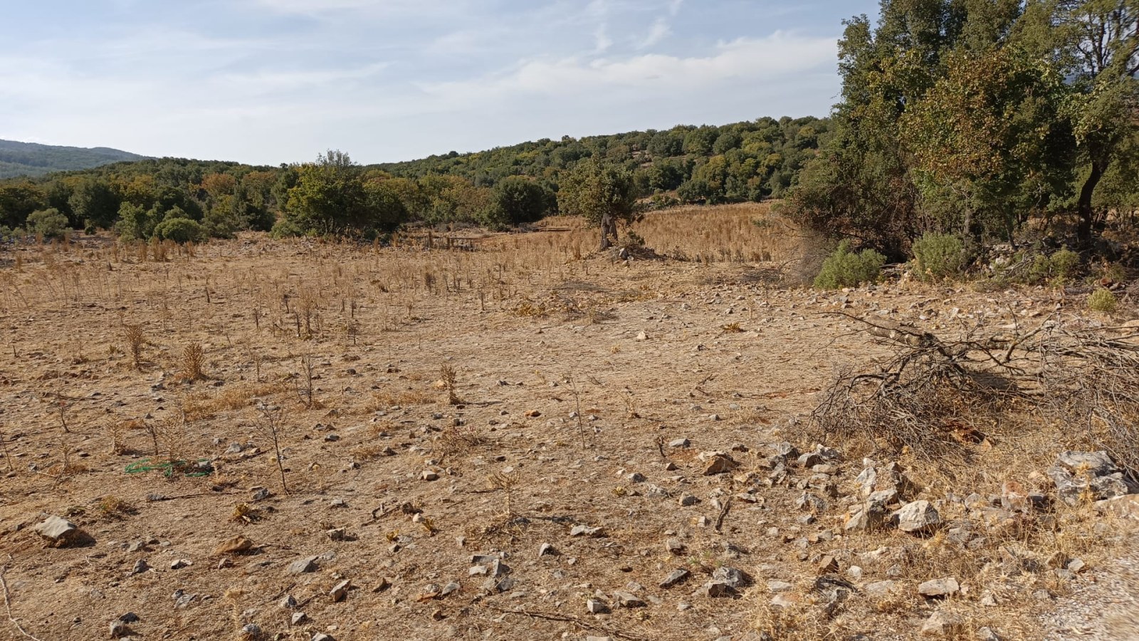 Arsa ve Parsel Ula Armutcuk Satılık Arazi