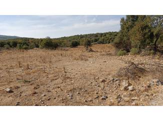 Arsa ve Parsel Ula Armutcuk Satılık Arazi