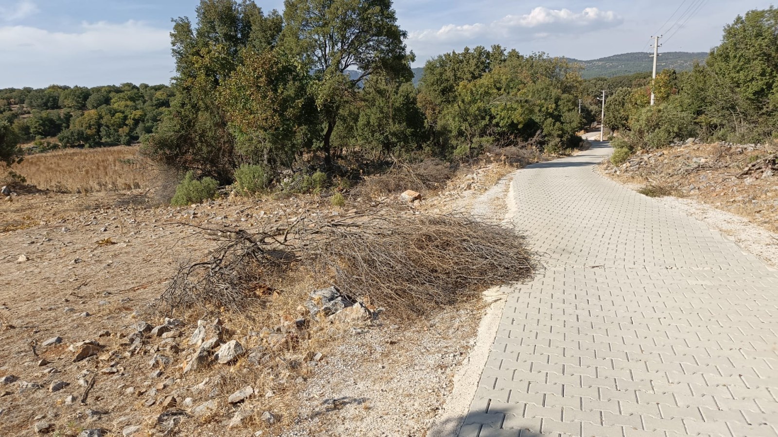 Arsa ve Parsel Ula Armutcuk Satılık Arazi