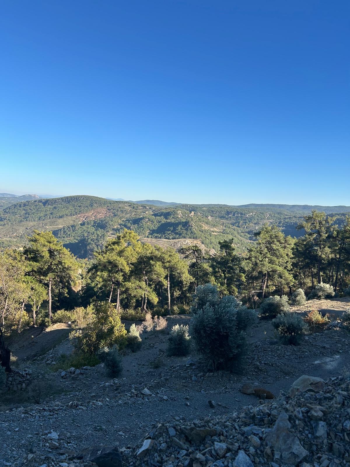 &Ccedil;eşitli İlanlar Menteşe &Ccedil;atakbagyaka Yatırımlık Tarla