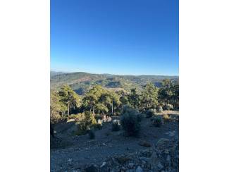 &Ccedil;eşitli İlanlar Menteşe &Ccedil;atakbagyaka Yatırımlık Tarla