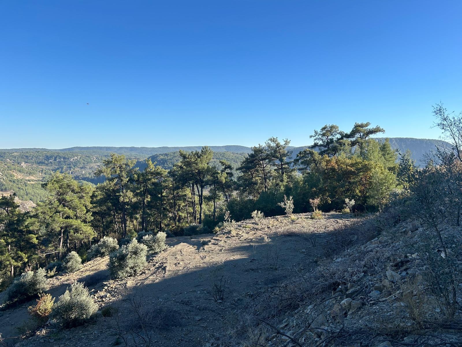 &Ccedil;eşitli İlanlar Menteşe &Ccedil;atakbagyaka Yatırımlık Tarla