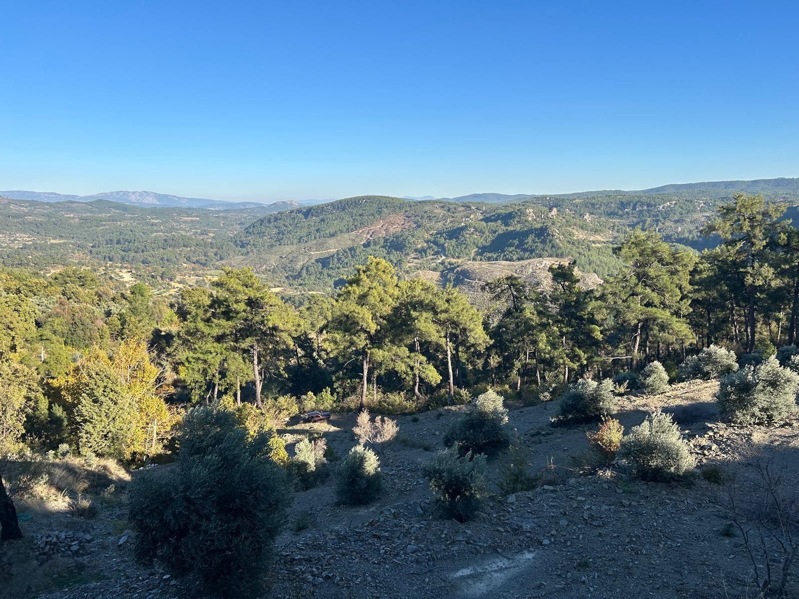 &Ccedil;eşitli İlanlar Menteşe &Ccedil;atakbagyaka Yatırımlık Tarla