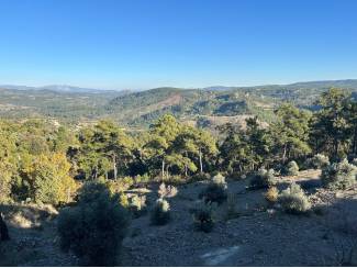 &Ccedil;eşitli İlanlar Menteşe &Ccedil;atakbagyaka Yatırımlık Tarla