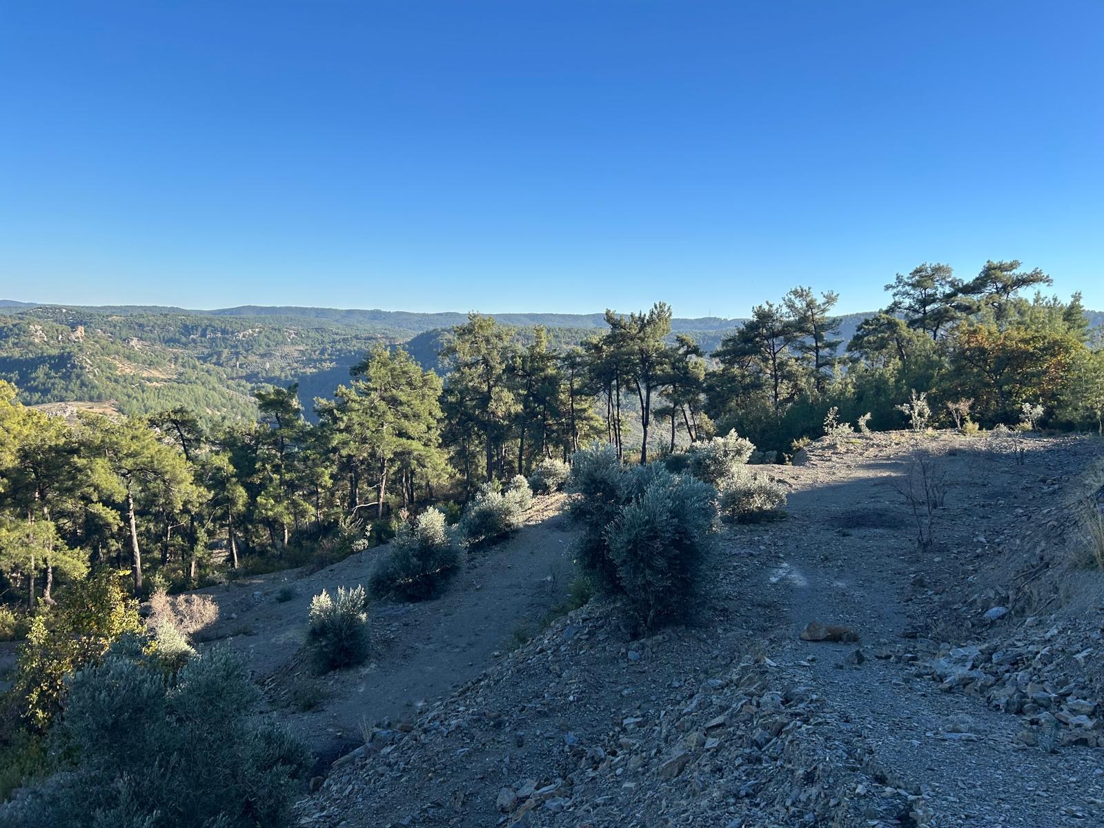 &Ccedil;eşitli İlanlar Menteşe &Ccedil;atakbagyaka Yatırımlık Tarla