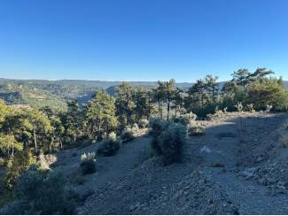 &Ccedil;eşitli İlanlar Menteşe &Ccedil;atakbagyaka Yatırımlık Tarla
