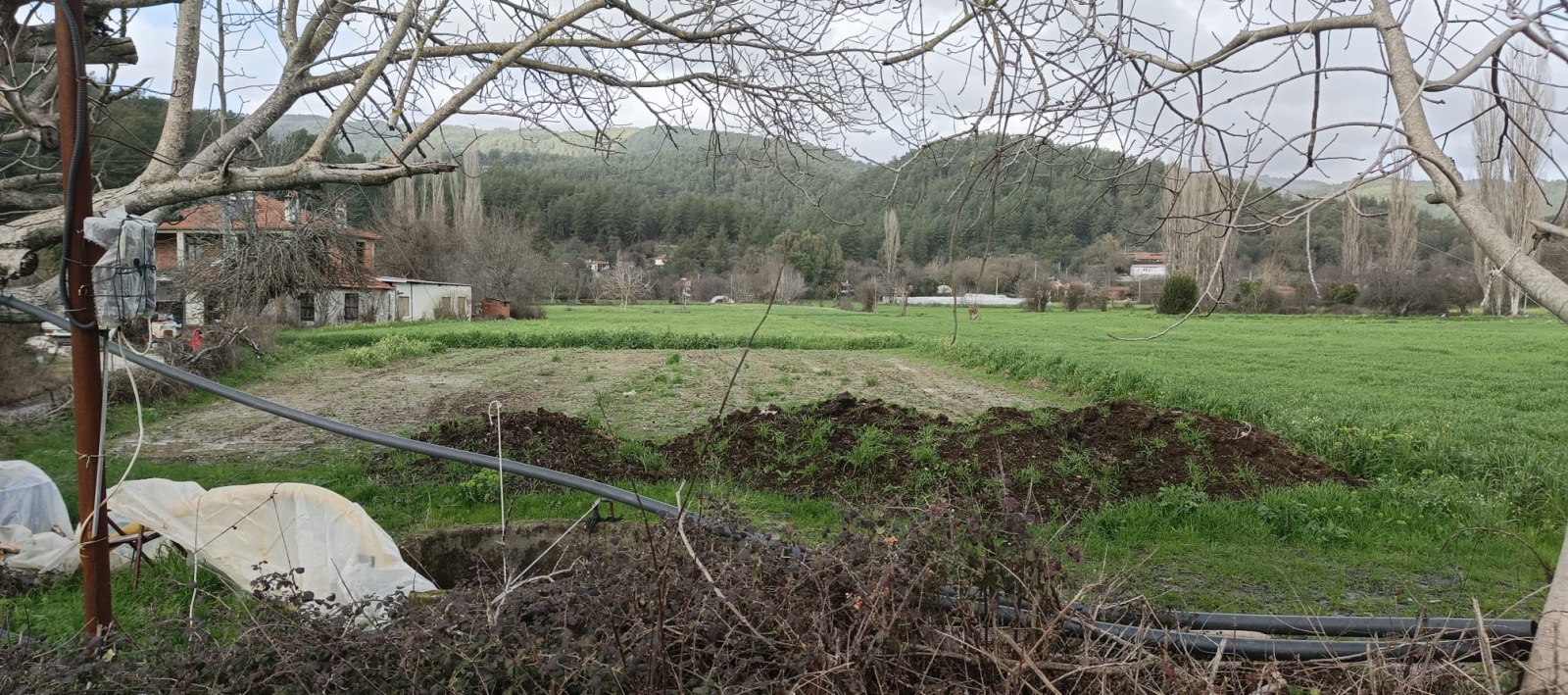 Arsa ve Parsel Ula Portakallık Satılık Tarla Geleceğin Yatırımı Toprak