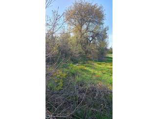 Arsa ve Parsel Karaman Ermenek İkiz&ccedil;ınar K&ouml;y&uuml; 150  Ada 4 Parsel