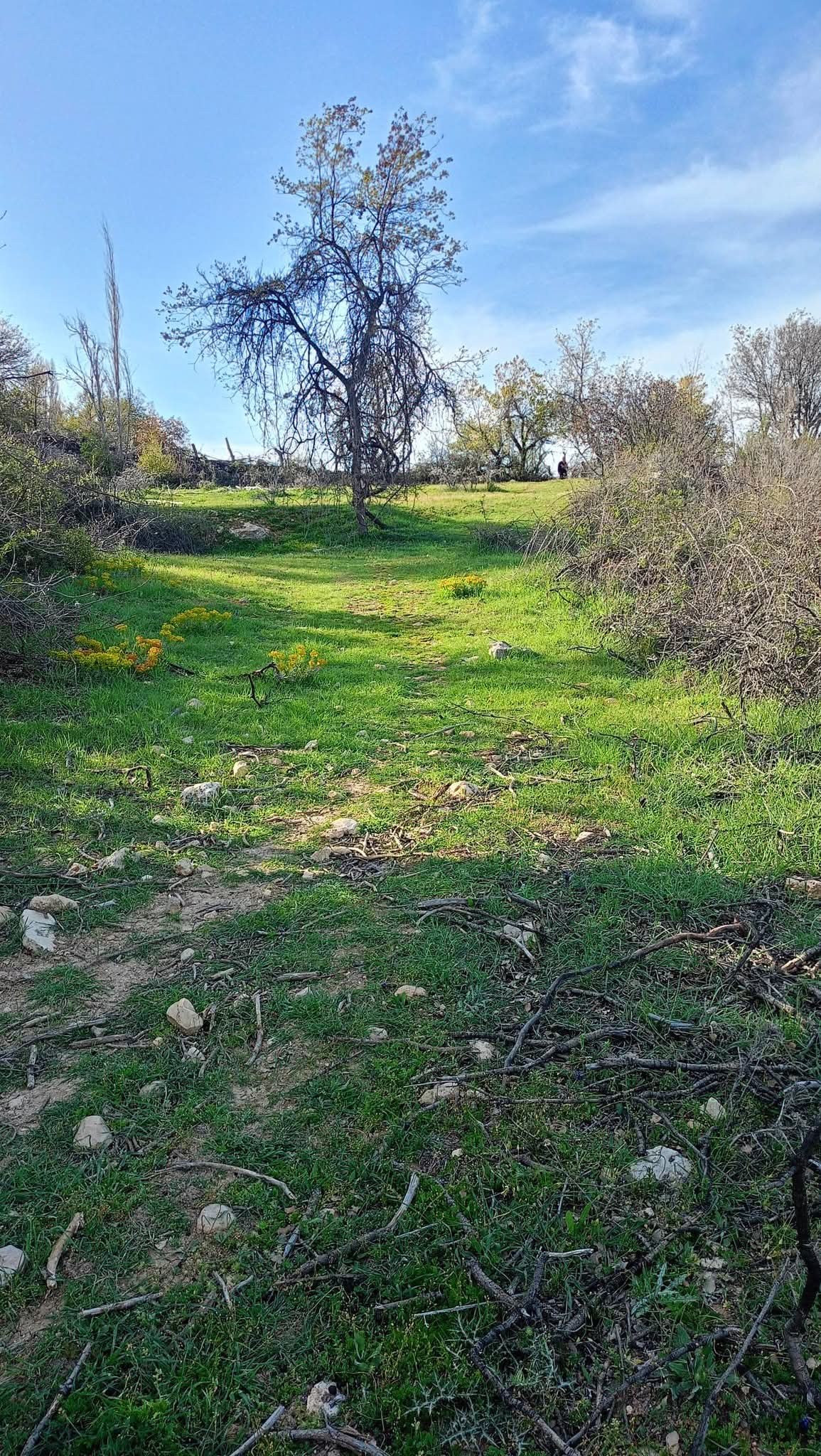 Arsa ve Parsel Karaman Ermenek İkiz&ccedil;ınar K&ouml;y&uuml; 150  Ada 4 Parsel