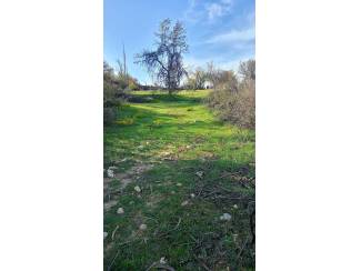 Arsa ve Parsel Karaman Ermenek İkiz&ccedil;ınar K&ouml;y&uuml; 150  Ada 4 Parsel