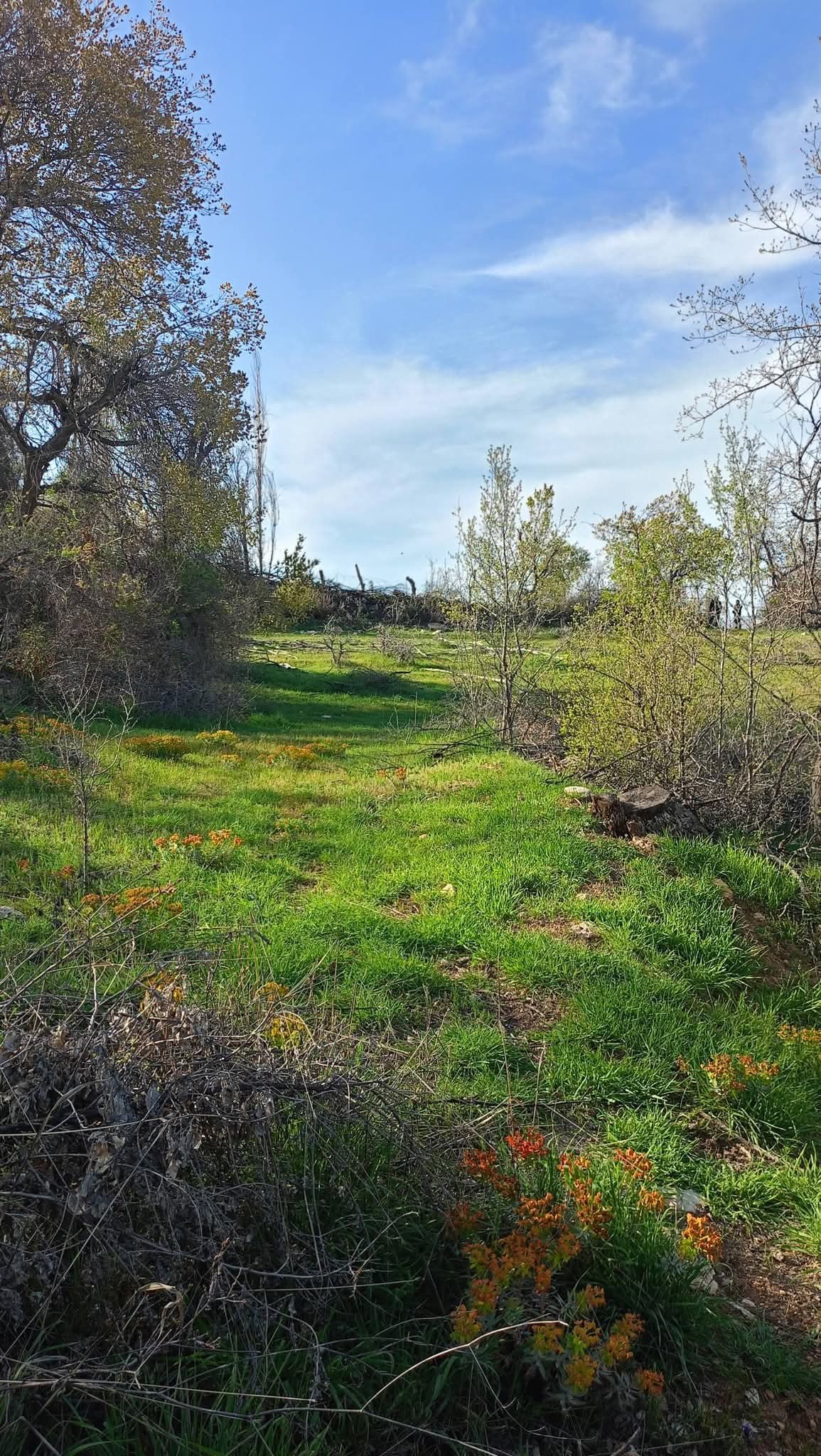 Arsa ve Parsel Karaman Ermenek İkiz&ccedil;ınar K&ouml;y&uuml; 150  Ada 4 Parsel