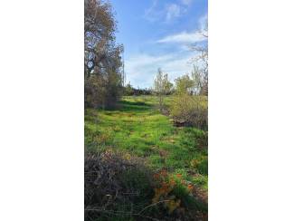 Arsa ve Parsel Karaman Ermenek İkiz&ccedil;ınar K&ouml;y&uuml; 150  Ada 4 Parsel