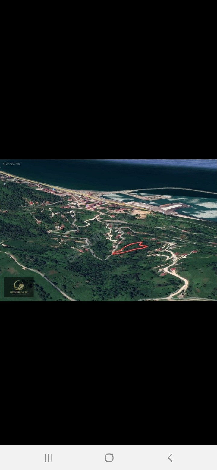 Arsa ve Parsel Rize pazarda acil satilik arsa